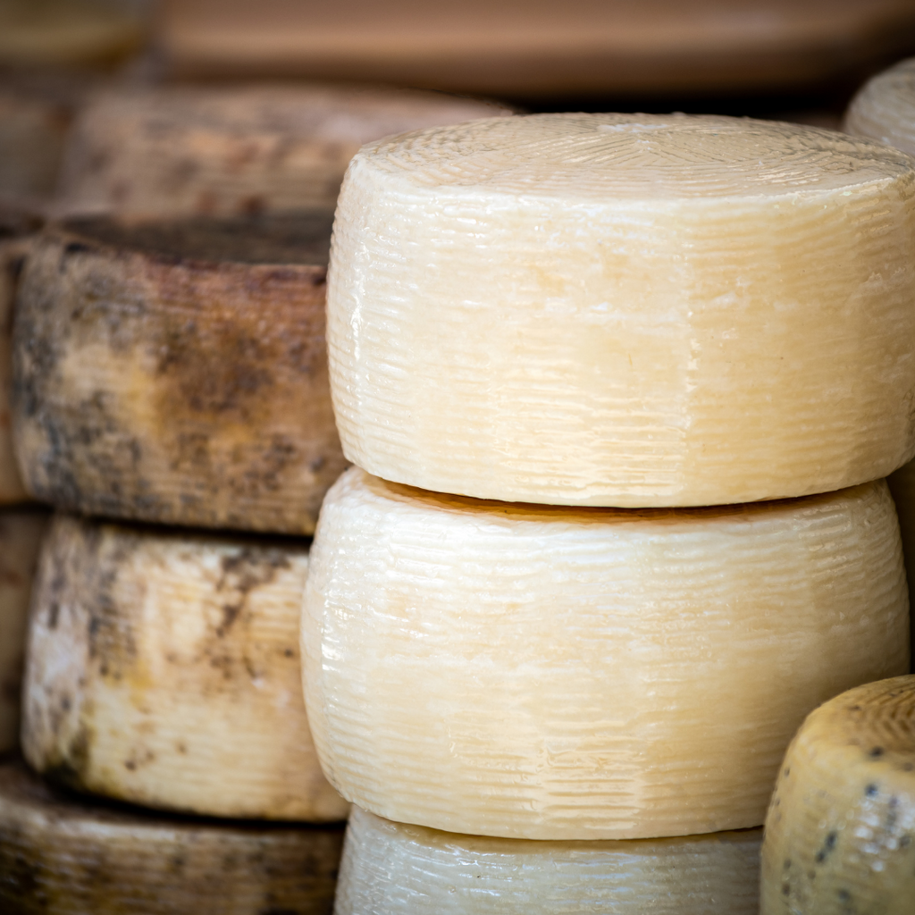 Italiensk ost - Fårost och getost och många andra typer av ostar som tryffelost eller ekologisk ost. Italiensk ost får aldrig saknas